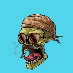 CrazySkull #8032