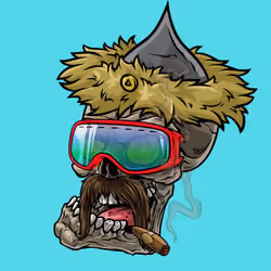 CrazySkull #9485