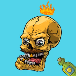 CrazySkull #9406