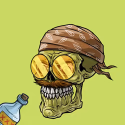 CrazySkull #9480