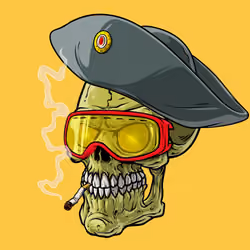 CrazySkull #2519