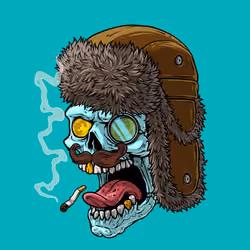CrazySkull #3817