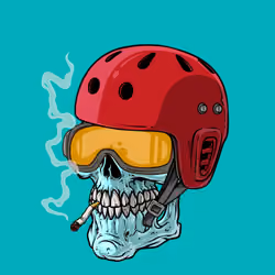 CrazySkull #1693
