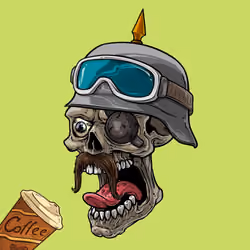 CrazySkull #4329