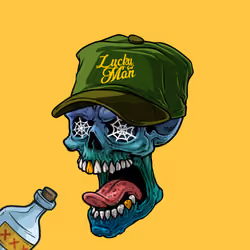 CrazySkull #5170