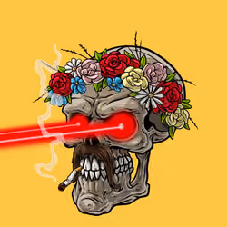 CrazySkull #2917