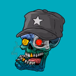 CrazySkull #5880