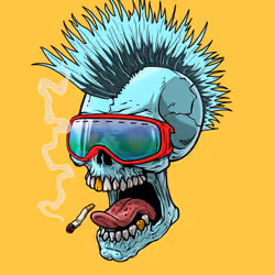 CrazySkull #4223