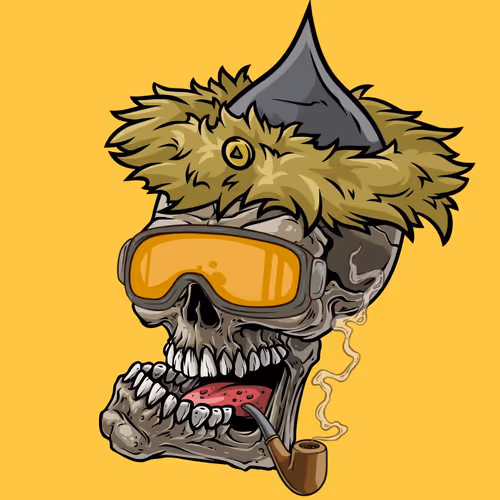 Crazyskullznft