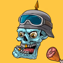CrazySkull #9384