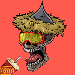 CrazySkull #8513