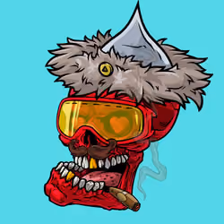 CrazySkull #5080