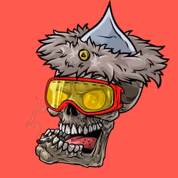 CrazySkull #4743