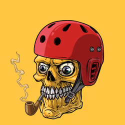 CrazySkull #9437