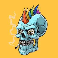 CrazySkull #1664