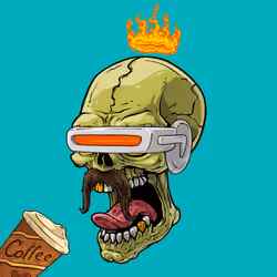 CrazySkull #4039