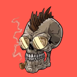 CrazySkull #4522