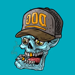 CrazySkull #9619