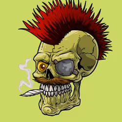 CrazySkull #4679