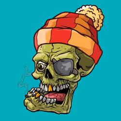 CrazySkull #3373