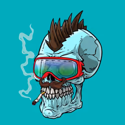CrazySkull #4163