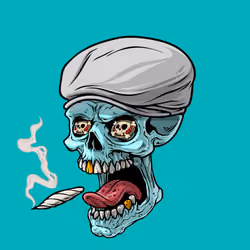 CrazySkull #8204