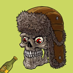 CrazySkull #5248