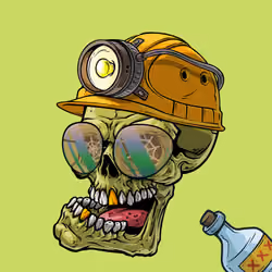 CrazySkull #9748