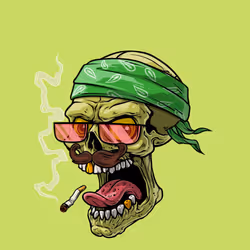 CrazySkull #4246
