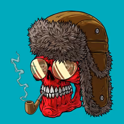 CrazySkull #9287