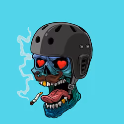 CrazySkull #3178