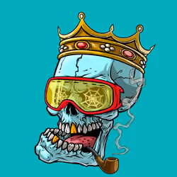 CrazySkull #3828