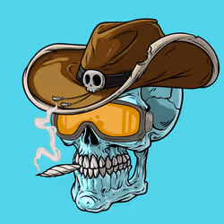 CrazySkull #6174