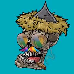 CrazySkull #1755