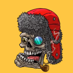 CrazySkull #7993