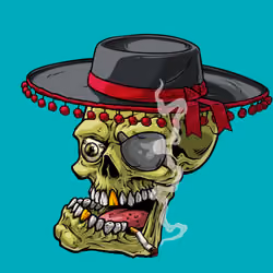 CrazySkull #9082