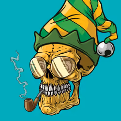 CrazySkull #6375