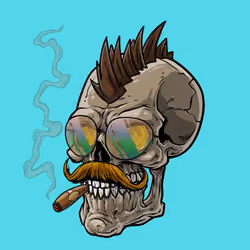 CrazySkull #1795