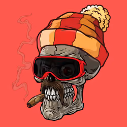 CrazySkull #3534