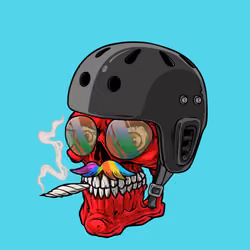 CrazySkull #6085