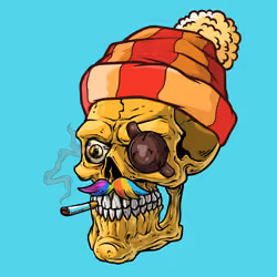 CrazySkull #8880