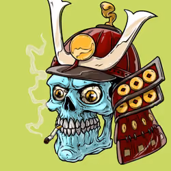 CrazySkull #2825