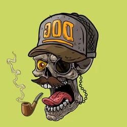 CrazySkull #1539