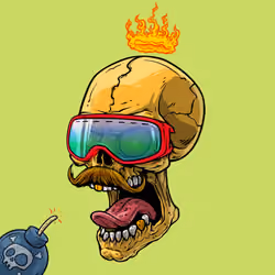 CrazySkull #9409