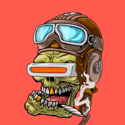 CrazySkull #9651