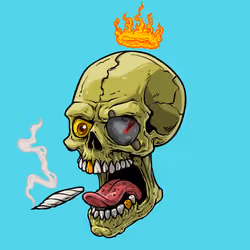 CrazySkull #7713