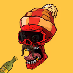 CrazySkull #6348