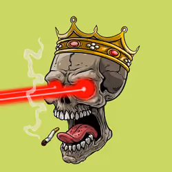 CrazySkull #9642