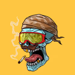 CrazySkull #1857