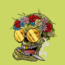 CrazySkull #4483